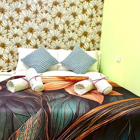 Colosseum Star Guest house